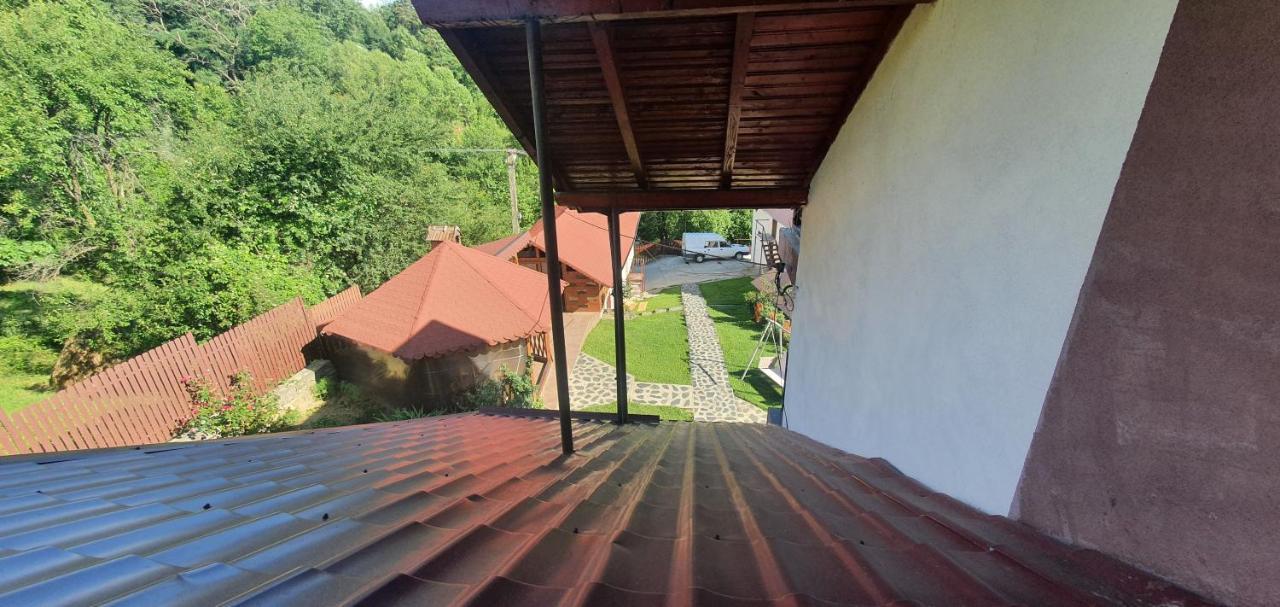 Hotel Casa Silvia Căpăţîneni-Ungureni Exterior foto